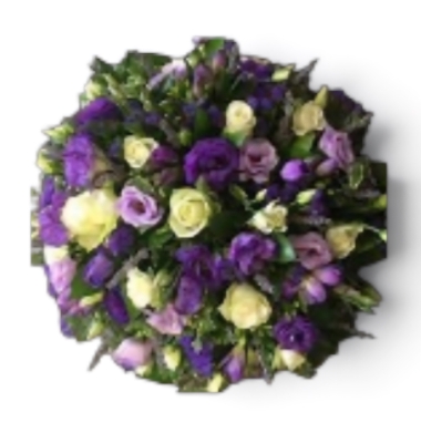 purple posie
