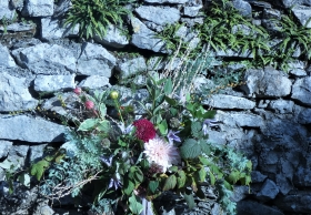 Woodland and Eco friendly funerals