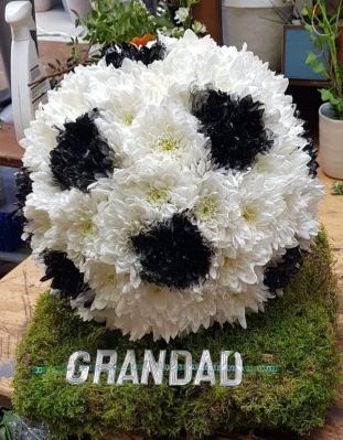 3D Football tribute