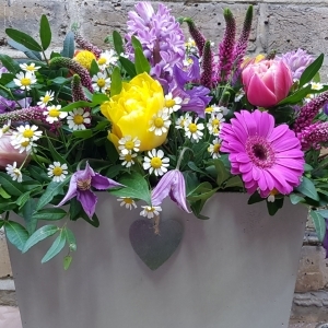 Colourful Florist Choice Box Arrangement
