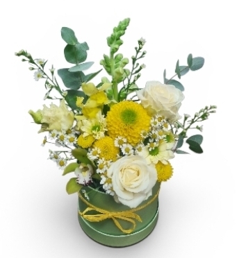 Lemon and Lime hatbox