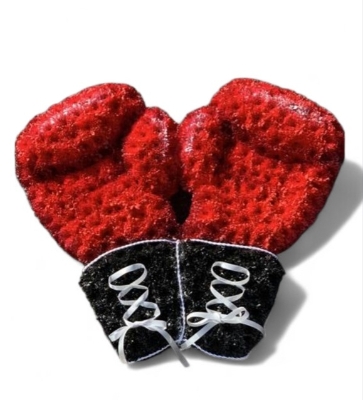 Pair of boxing gloves