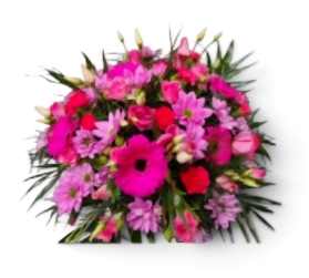 Hot Pink Posie
