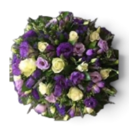 purple posie