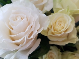 Beautiful Ecuadorian roses and Eucalyptus arrangement.