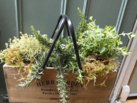 Herb planter