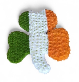 Irish Clover