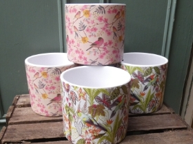 Pretty Bird Pots