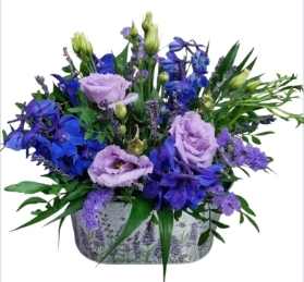 Scented lavender and thyme arrangement