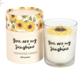 You are my sunshine candle