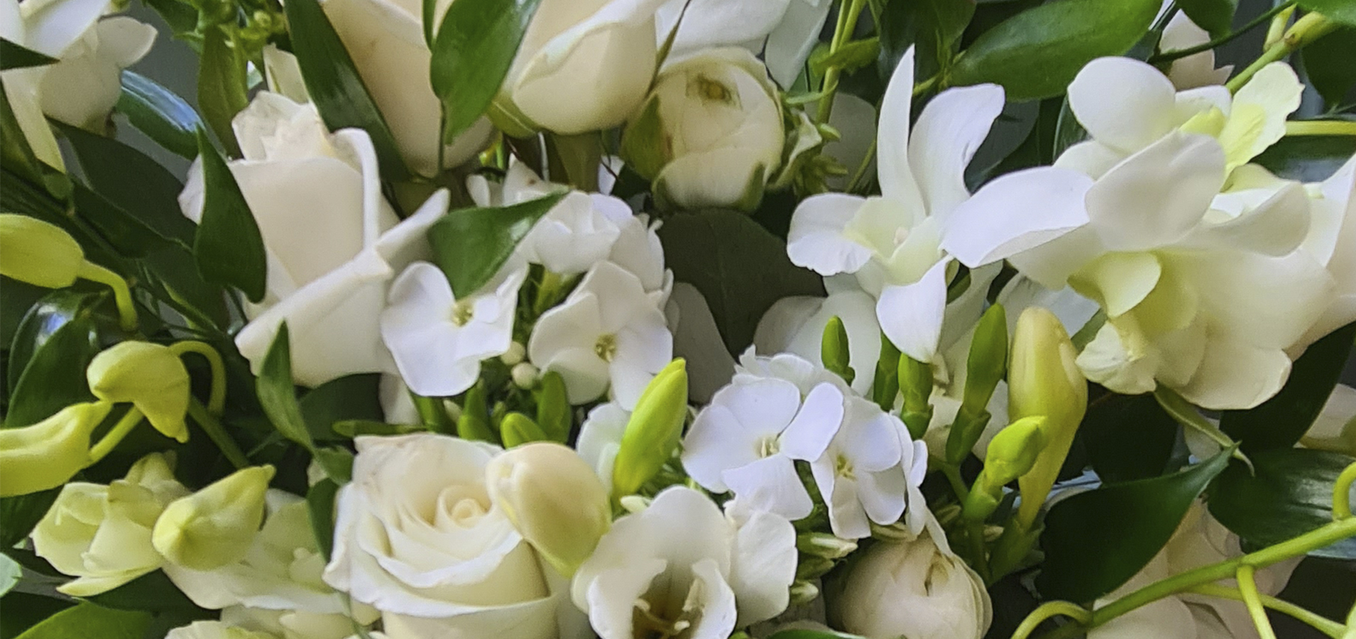 House of Flowers, your florist in Carshalton Beeches. Same day flower